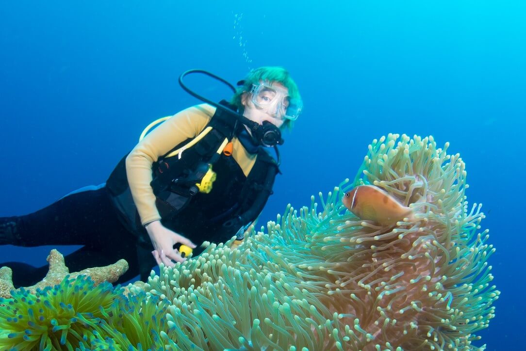 布纳肯浮潜